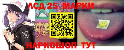 гидропоника Будённовск