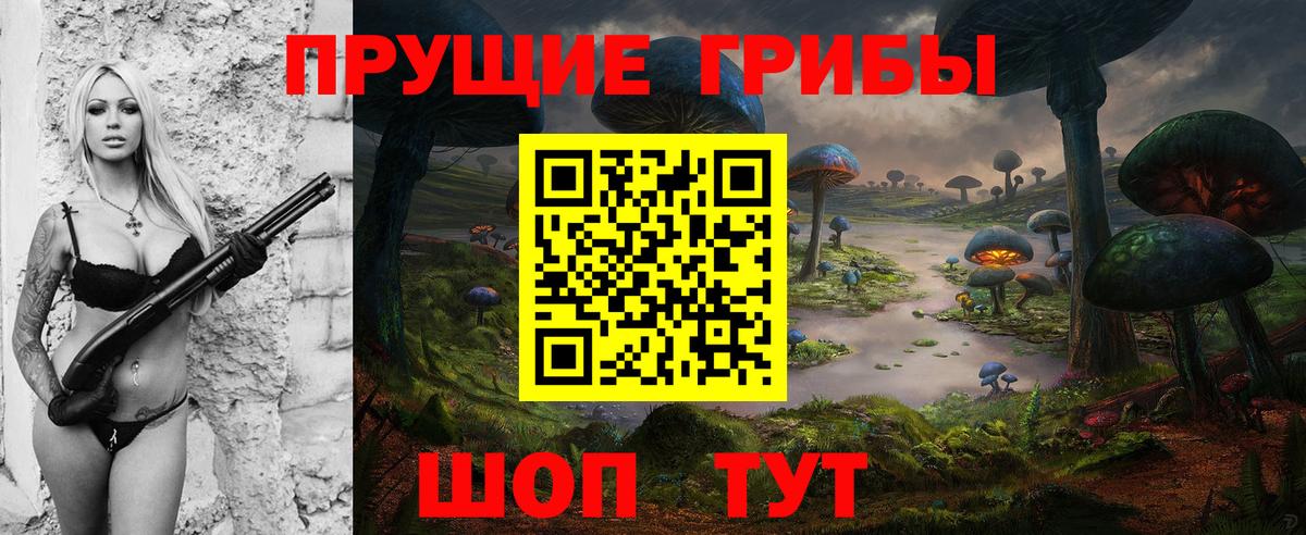 Галлюциногенные грибы Psilocybe Новый Уренгой